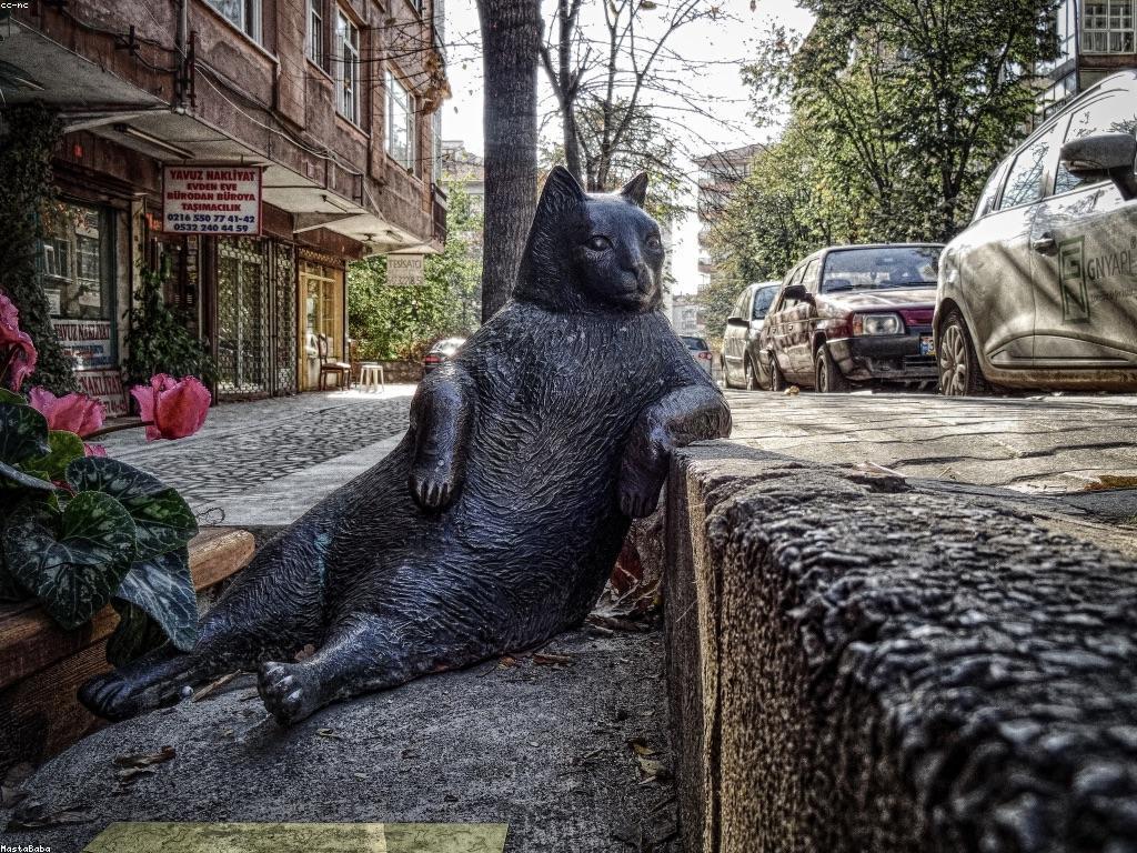 ព័ត៌មានថ្មី និងការប្រកាសសំខាន់ៗ